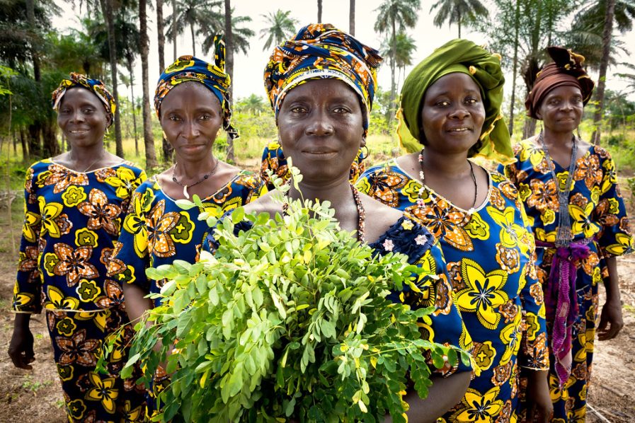 Priority for Guinea: Improving the Status of Women and Girls