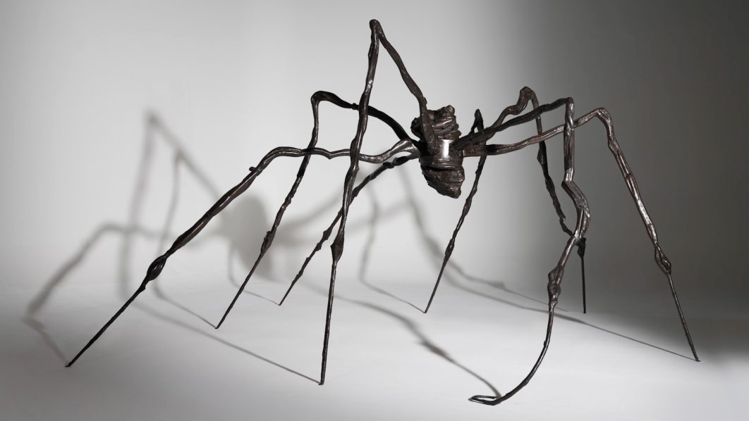 spiderfl-thumbnail