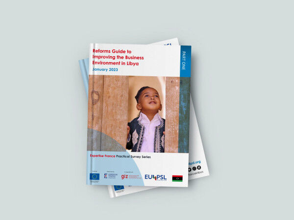 Reforms Guide Identifies Top Reform Priorities to Improve Business Environment in Libya