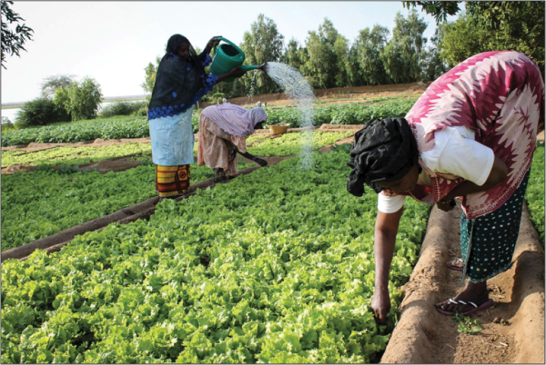 Sahel region: African Development Bank to extend nearly $1m in gender-based grants to boost opportunities for women-led businesses