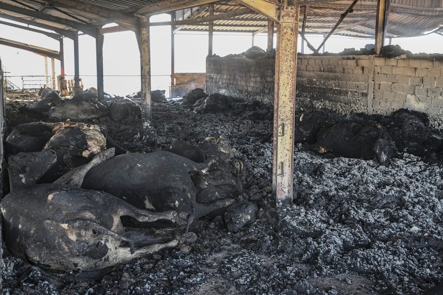GREECE-FIRE-ENVIRONMENT-CLIMATE-WEATHER