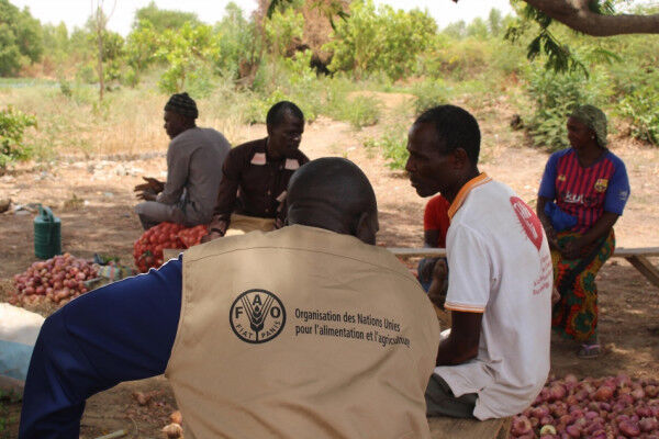 Digitalizing agriculture in rural Senegal