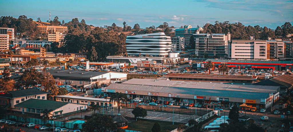 Efficient State-Owned Enterprises Will Boost Eswatini’s Economic Growth