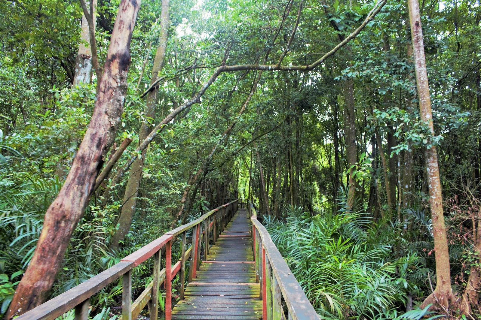 lekki-conservation-centre