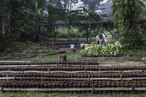 Mozambique: African Development Fund approves $20 million to improve business environment and drive investments to climate-smart agriculture