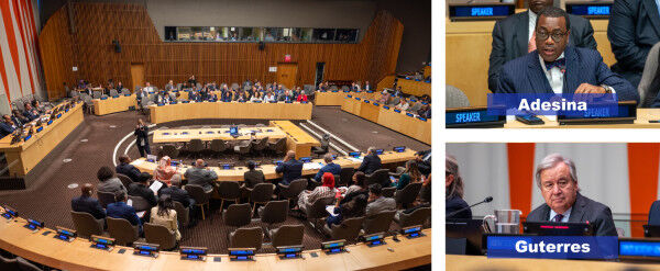 African Development Bank chief pledges full support to the United Nations Secretary General (UNSG’s) agenda to deliver climate adaptation and early warning systems for all