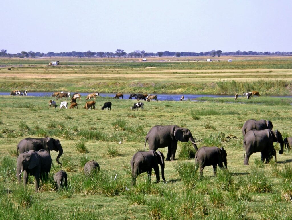 Conservation International and Peace Parks Foundation Commit USD $150 million to  Restore 20 Million Hectares Across African Grasslands, Savannahs and Bushlands 