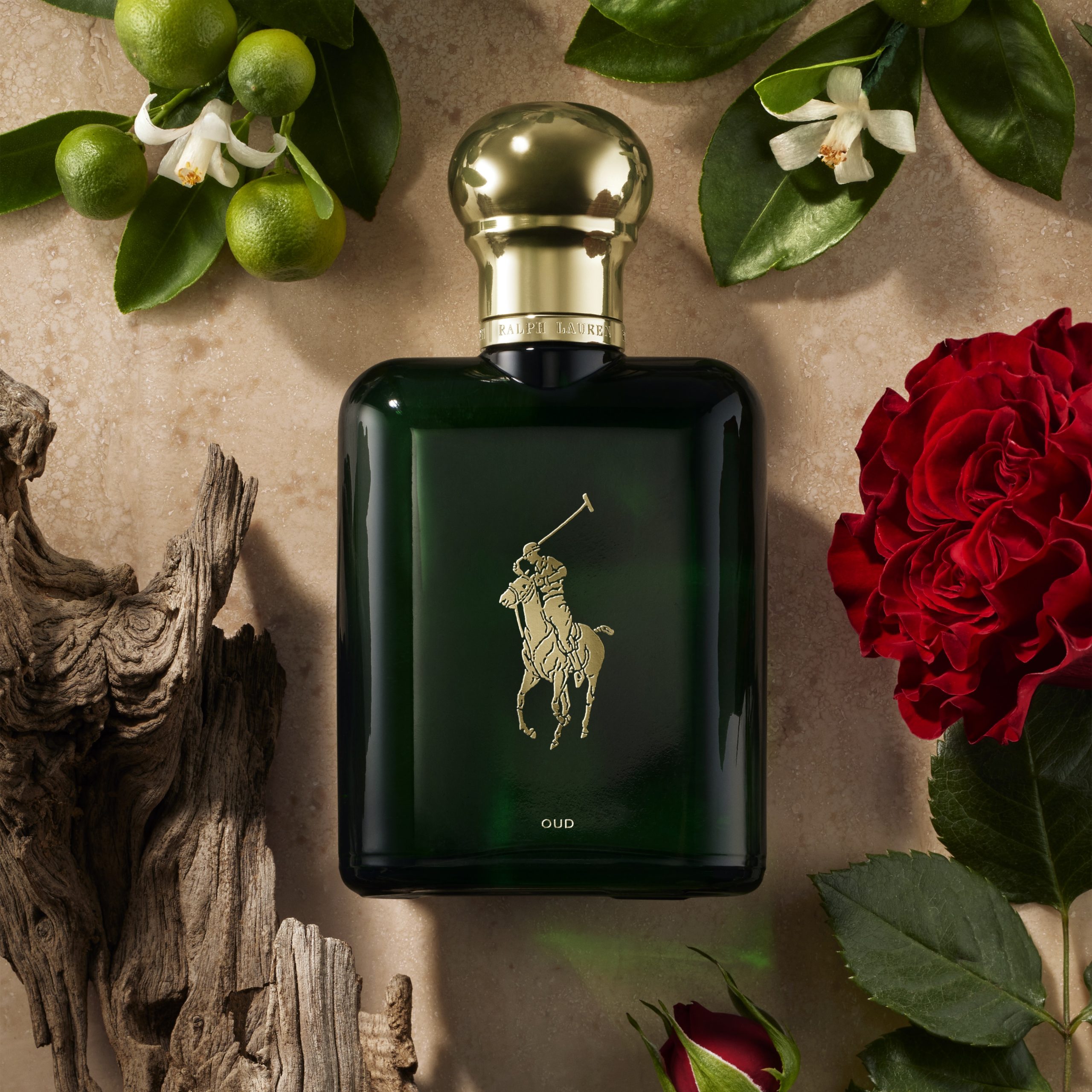 Unveiling the NEW Polo Oud Eau de Parfum: A Voyage of Intrigue and