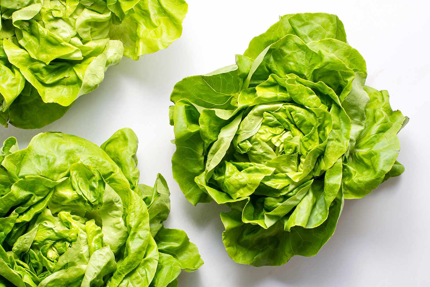 what-is-butter-lettuce-4773670-hero-06-0b9d54128b3e48e081015e17b5764c39