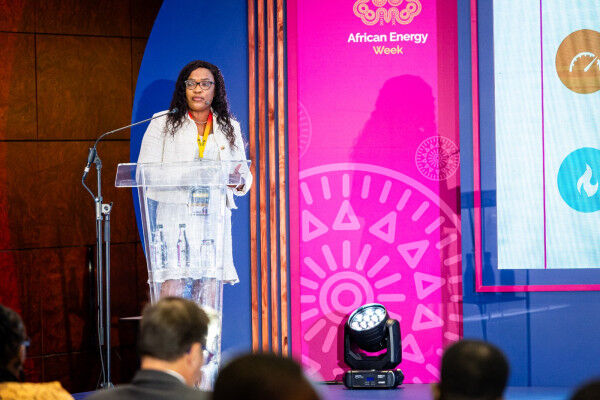 Namibian Petroleum Commissioner Shares Updates on Country’s Energy Prospects at #AEW2023