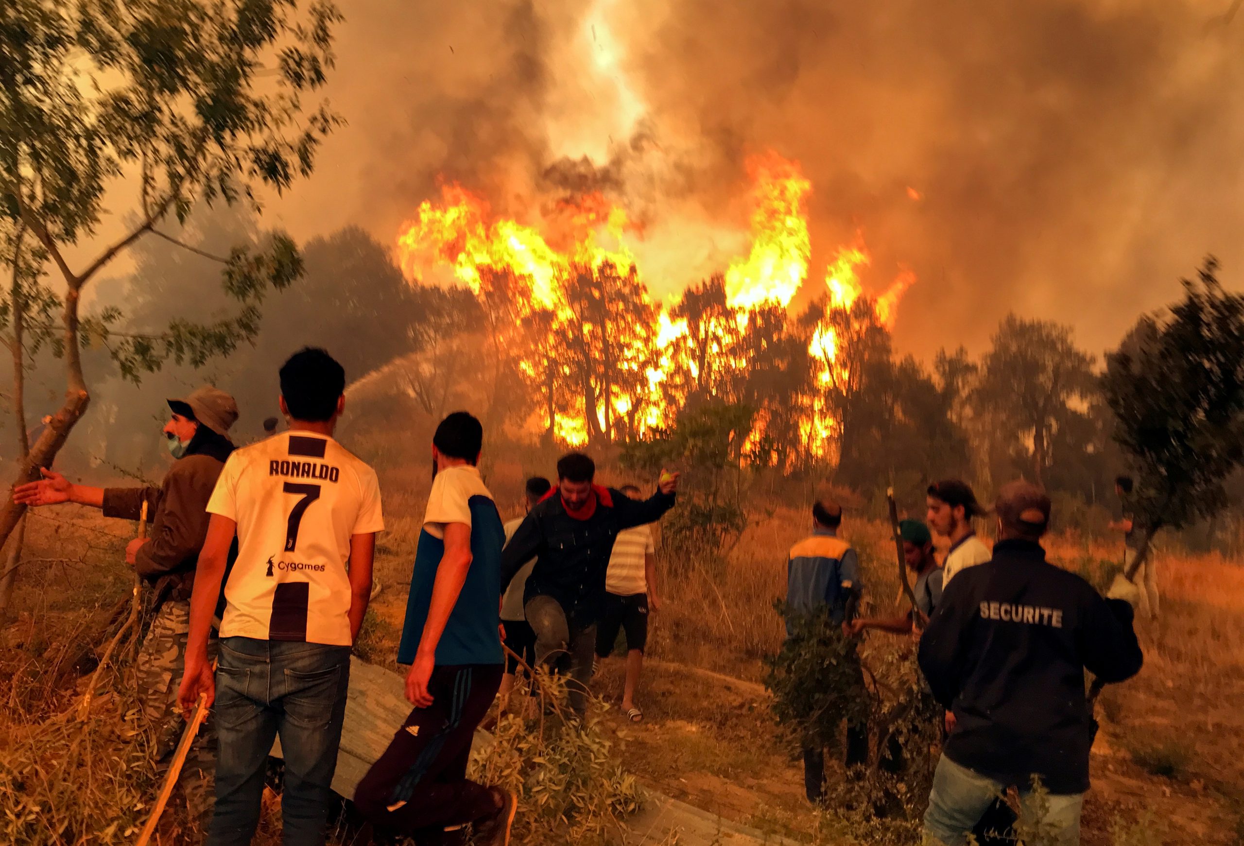 Algeria-fires-scaled