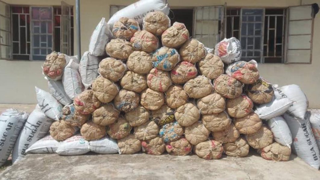 IMG-20231119-WA0015-1