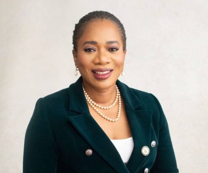 The Mandate Secretary, Health Services and Environment Secretariat, Dr Adedolapo Fasawe