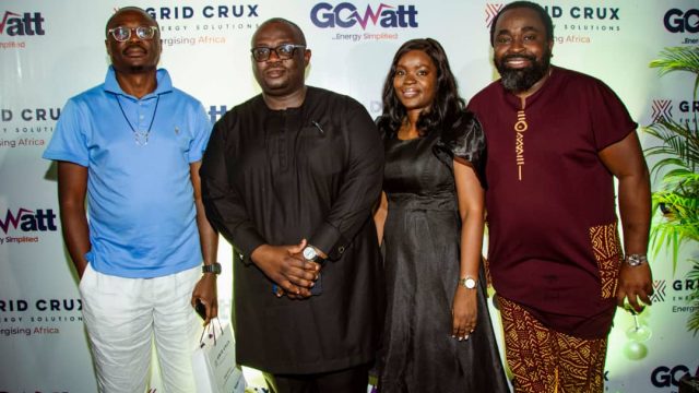 Firm moves against energy poverty, unveils platform to revolutionise ...