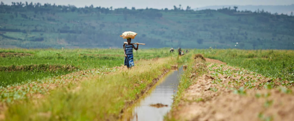 Congo: African Development Bank’s 2023-2028 Country Strategy Paper sets developing sustainable infrastructure and improving economic governance as key priorities