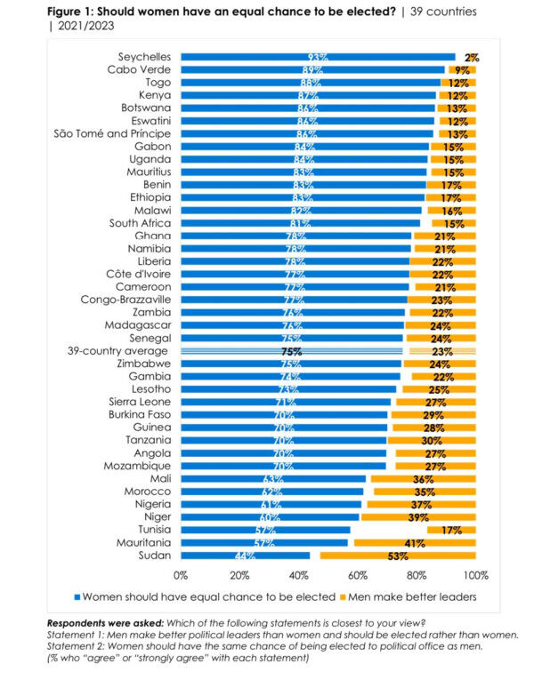 Africans back gender equality, but gaps persist: Governments urged to do more