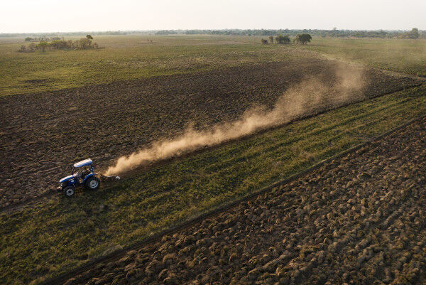 Angola: African Development Bank approves $105-million loan to improve the productivity of smallholdings and reduce food imports