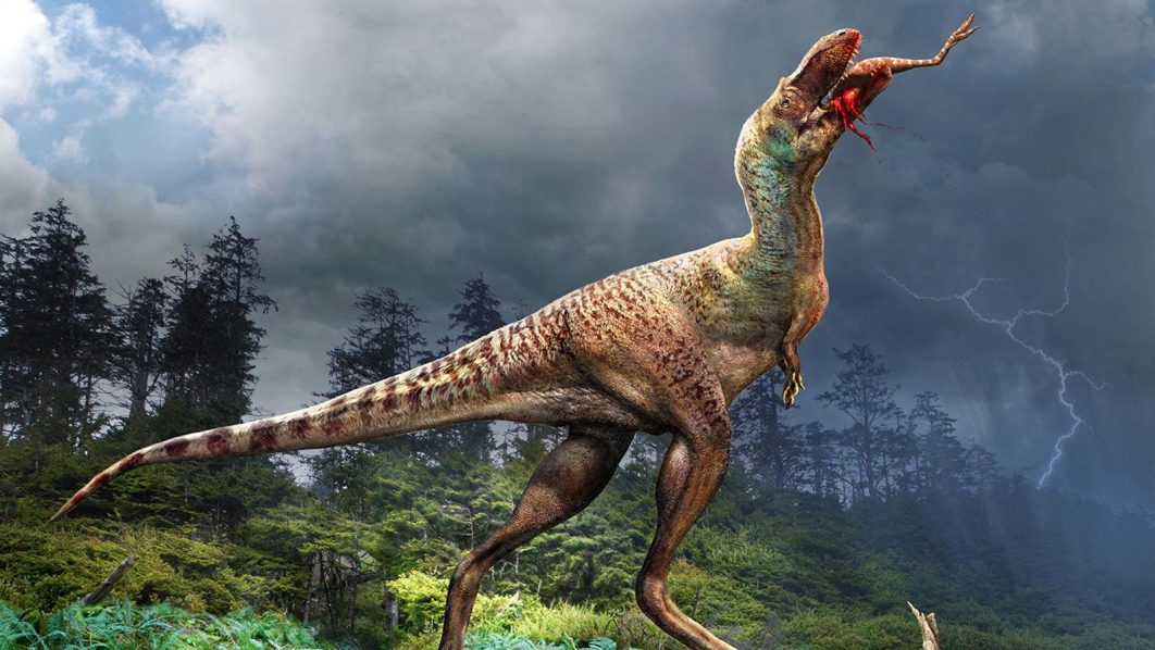 skynews-gorgosaurus-dinosaur_6387370