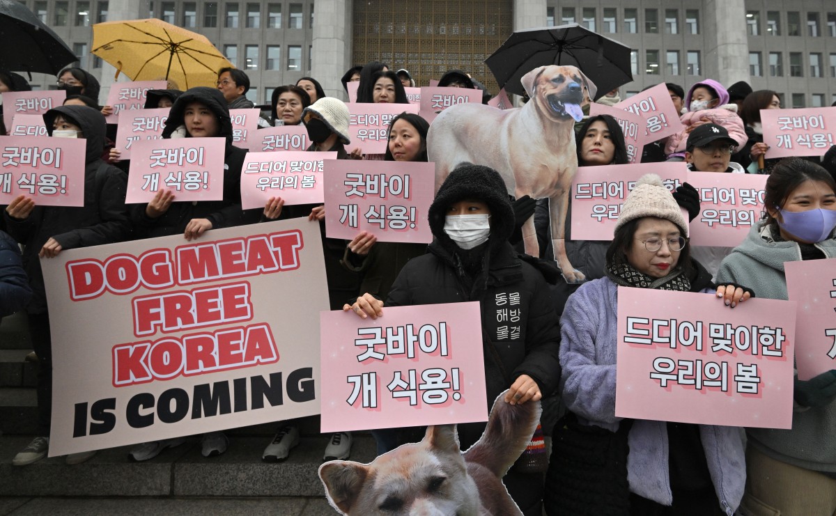 SKOREA-ANIMAL-DOG-RIGHTS