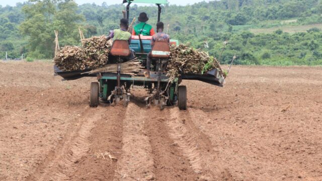 Late Arrival Of Rain: Bleak planting season imminent – farmers | The ...