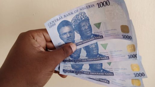 New-Naira-Note-by-Ifeanyi-Ibeh-515×290