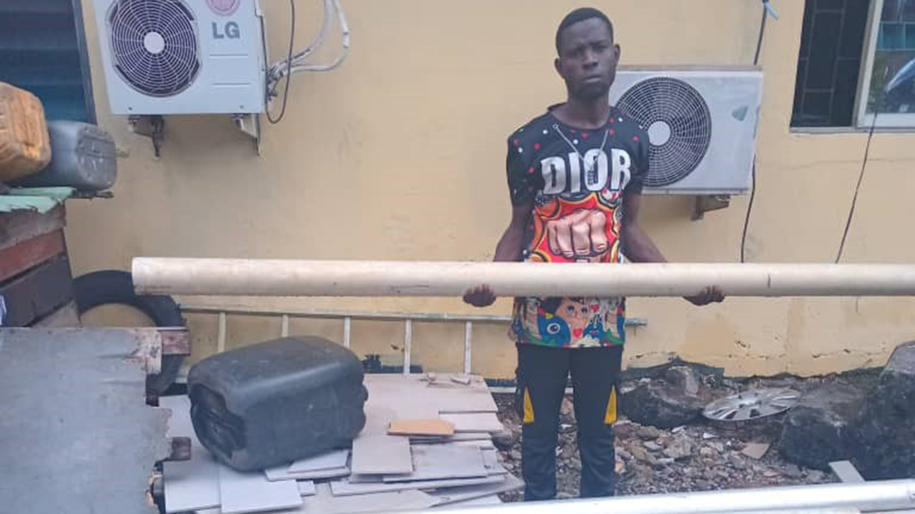 Suspected vandal