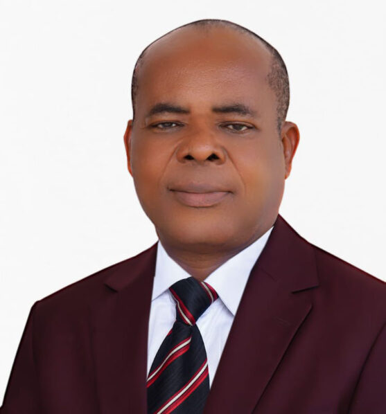 Amadi ibru pix (1)
