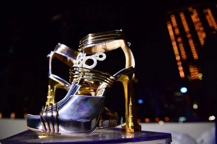 Moon Star shoe