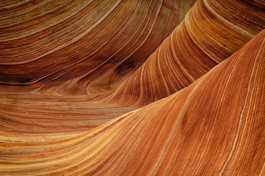 The Wave