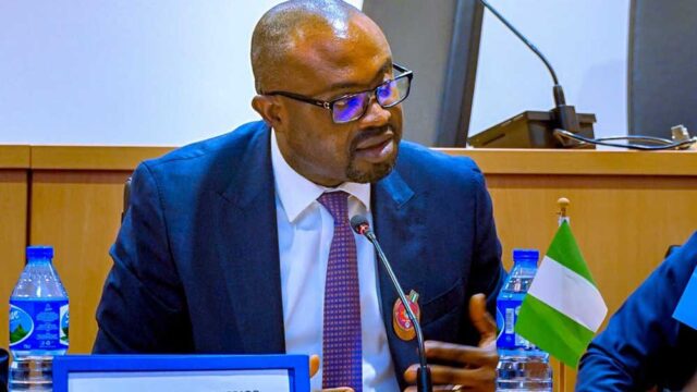apc-chieftain-hails-interior-minister-over-passport-reforms