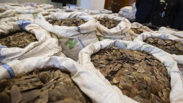 pangolin-scales-seizure-Nigeria