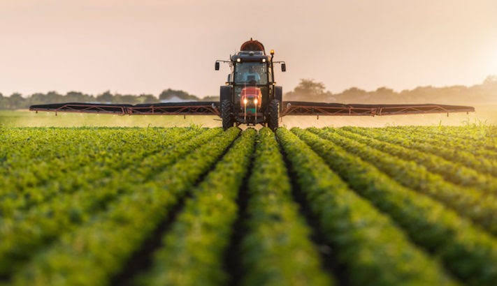 Fasola agribusiness hub