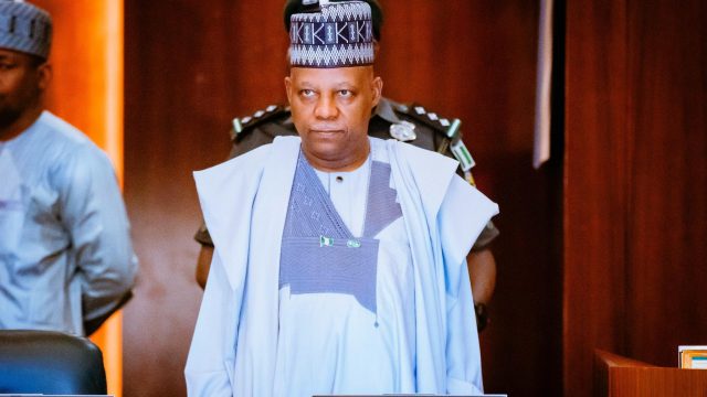 Vice-President Kashim Shettima