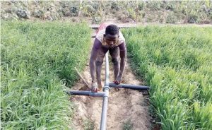 A farmer fixing irrigation channels copy