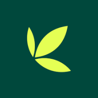 Bamboo finance