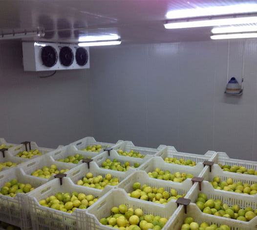 decentralised-cold-storage-for-fruit-Vegetables-Agritech-Digest