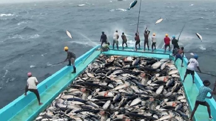 fishery