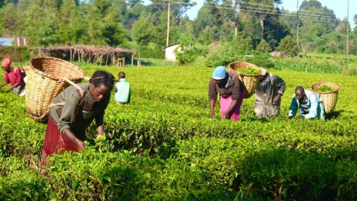Farming-768×432