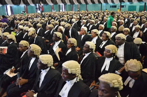 Nigerian Lawyers (1)