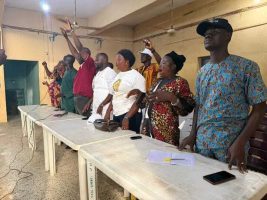 Imole Grassroots Mobilisation Network