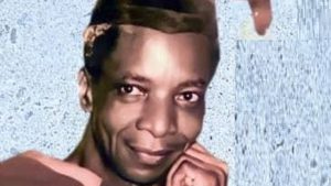 Professor Adegoke Olubummo
