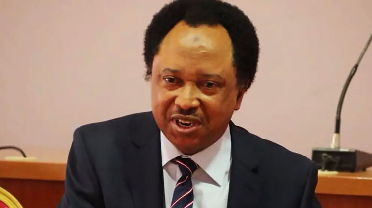Shehu Sani Credits Nigerian Forces, Not US Strike, for Peaceful Christmas
