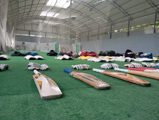 Cricket