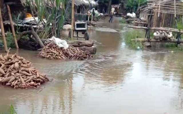 Flooded-farm