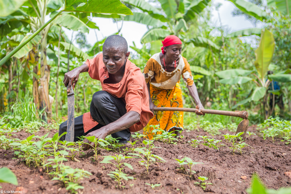 Smallholder farmers in action