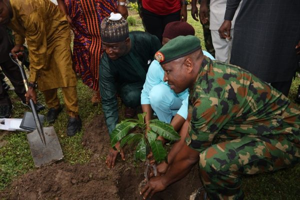 Tree planting