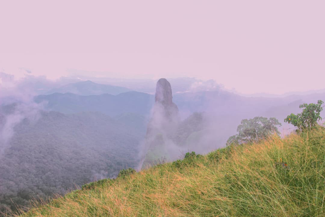 WhatsApp Image 2025-09-11 at 22.09.49_23b96512