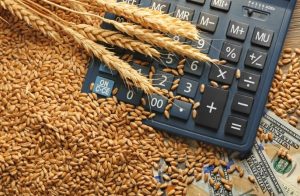 African Grain Trade Summit