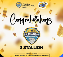 The 3 Stallion Volleyball Club