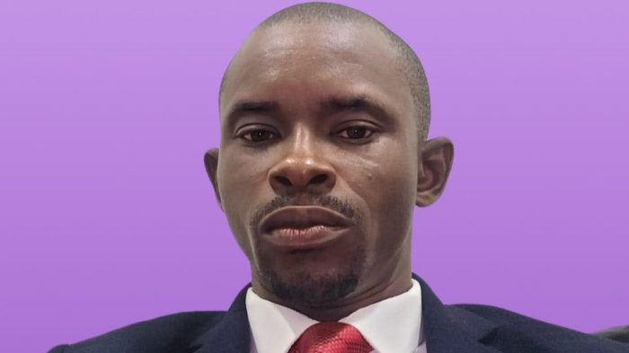 Financial Reporting Council of Nigeria (FRC), Oladele Oladejo